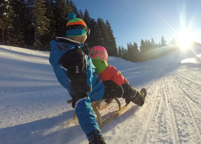 Alpina 3* Reith im Alpbachtal