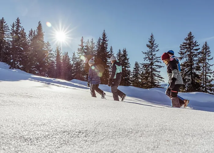 Alpina 3* Reith im Alpbachtal